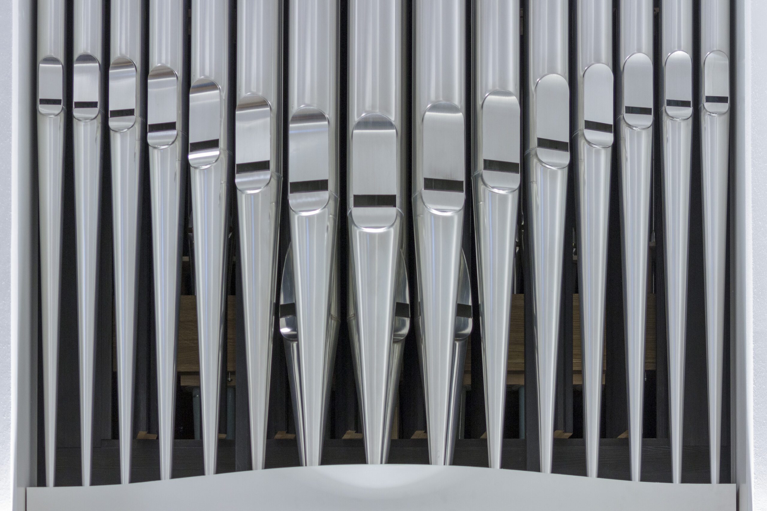 Die neue Schuke-Orgel. Foto: SGP